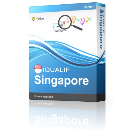 IQUALIF Singapour Jaune, Professionnels, Business