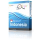 IQUALIF Indonesia Giallo, Professionisti, Imprese