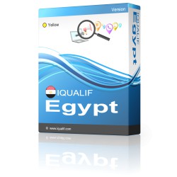 IQUALIF Ägypten Gelb, Professionals, Business